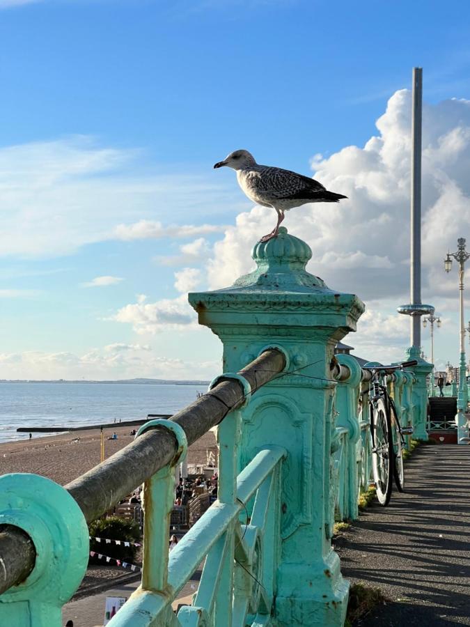 Charming Cottage & Garden - Central Brighton! Esterno foto